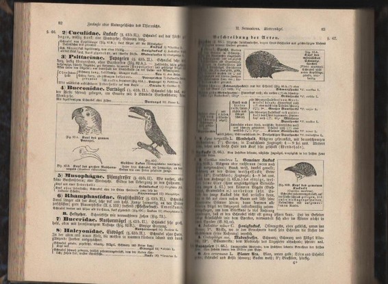 livre Scolaire - histoire naturelle une pr�sentation analytique des trois royaumes nature