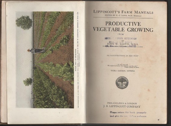 Productive Vegetable growing